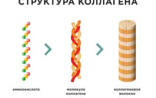План питания: 15 продуктов с высоким содержанием белка