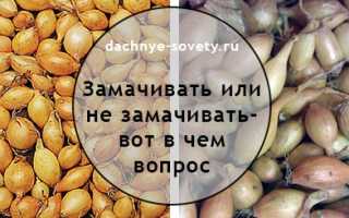 Обработка лука перед посадкой: в чем замочить лук севок