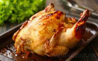 Самые вкусные рецепты приготовления цыплят-корнишонов в духовке