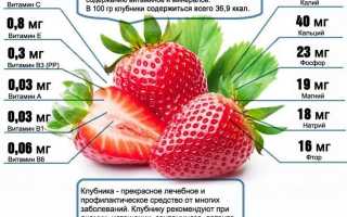Земляника, это вам не клубника: польза и вред для организма человека