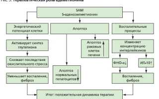 Метионин: как принимать в бодибилдинге и в каких продуктах содержится аминокислота