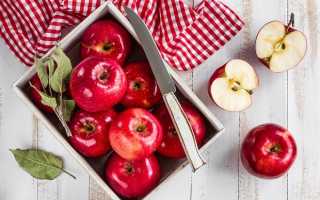Как отличить дикую яблоню от культурной. несколько способов понять, что саженцы липовые. по форме плодов