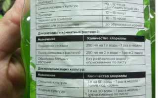 Хлорелла: свойства, применение, инструкция, отзывы