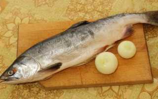 Как засолить горбушу в домашних условиях вкусно и быстро под семгу