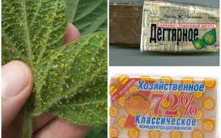 Молочная сыворотка для растений
