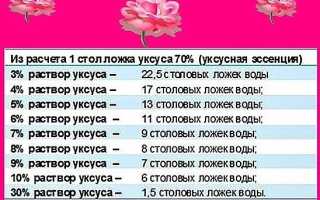 Яблочный, бальзамический или столовый. для чего нужны разные виды уксуса